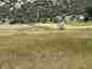 Pocatello Real Estate - MLS #579945 - Photograph #4