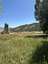 Pocatello Real Estate - MLS #579945 - Photograph #10