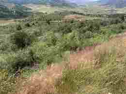 Pocatello Real Estate - MLS #580083 - Photograph #1