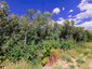 Pocatello Real Estate - MLS #580085 - Photograph #4