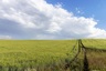 Pocatello Real Estate - MLS #580087 - Photograph #15