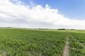 Pocatello Real Estate - MLS #580087 - Photograph #20