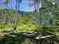 Pocatello Real Estate - MLS #580097 - Photograph #33