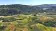 Pocatello Real Estate - MLS #580097 - Photograph #5