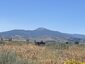 Pocatello Real Estate - MLS #580102 - Photograph #6