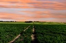 Pocatello Real Estate - MLS #580103 - Photograph #2