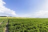 Pocatello Real Estate - MLS #580103 - Photograph #4