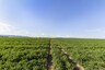 Pocatello Real Estate - MLS #580103 - Photograph #6