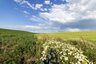 Pocatello Real Estate - MLS #580103 - Photograph #7