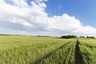 Pocatello Real Estate - MLS #580103 - Photograph #9
