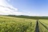 Pocatello Real Estate - MLS #580103 - Photograph #11