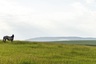 Pocatello Real Estate - MLS #580103 - Photograph #13