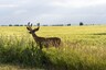 Pocatello Real Estate - MLS #580103 - Photograph #14
