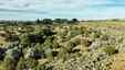 Pocatello Real Estate - MLS #580163 - Photograph #14