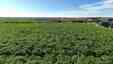 Pocatello Real Estate - MLS #580163 - Photograph #20