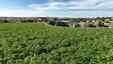 Pocatello Real Estate - MLS #580163 - Photograph #21
