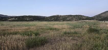 Bancroft Idaho Real Estate