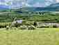 Pocatello Real Estate - MLS #580175 - Photograph #35