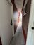 Pocatello Real Estate - MLS #580271 - Photograph #12