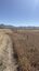 Pocatello Real Estate - MLS #580370 - Photograph #7