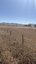 Pocatello Real Estate - MLS #580371 - Photograph #11