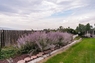 Pocatello Real Estate - MLS #580383 - Photograph #11
