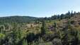 Pocatello Real Estate - MLS #580428 - Photograph #2