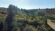 Pocatello Real Estate - MLS #580428 - Photograph #4