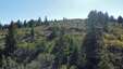 Pocatello Real Estate - MLS #580428 - Photograph #7