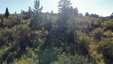 Pocatello Real Estate - MLS #580428 - Photograph #11