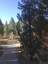 Pocatello Real Estate - MLS #580508 - Photograph #28