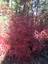 Pocatello Real Estate - MLS #580508 - Photograph #30