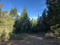 Pocatello Real Estate - MLS #580508 - Photograph #15