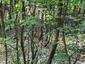 Pocatello Real Estate - MLS #580508 - Photograph #20