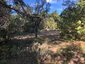 Pocatello Real Estate - MLS #580508 - Photograph #21