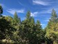 Pocatello Real Estate - MLS #580508 - Photograph #23
