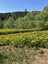 Pocatello Real Estate - MLS #580508 - Photograph #27