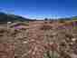 Pocatello Real Estate - MLS #580511 - Photograph #15