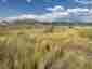 Pocatello Real Estate - MLS #580547 - Photograph #33