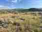 Pocatello Real Estate - MLS #580547 - Photograph #35