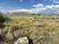 Pocatello Real Estate - MLS #580547 - Photograph #36