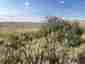Pocatello Real Estate - MLS #580547 - Photograph #20