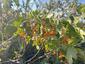 Pocatello Real Estate - MLS #580547 - Photograph #21