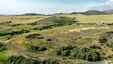 Pocatello Real Estate - MLS #580553 - Photograph #3
