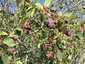Pocatello Real Estate - MLS #580553 - Photograph #12