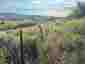 Pocatello Real Estate - MLS #580560 - Photograph #30