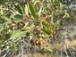 Pocatello Real Estate - MLS #580560 - Photograph #14