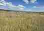 Pocatello Real Estate - MLS #580560 - Photograph #27