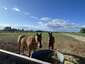 Pocatello Real Estate - MLS #580668 - Photograph #45