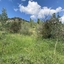 Pocatello Real Estate - MLS #580738 - Photograph #3
